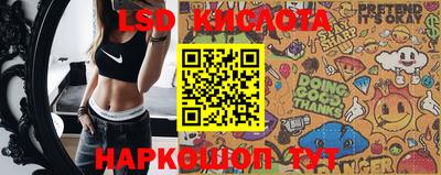 спиды Донской