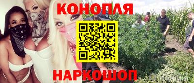 спиды Донской