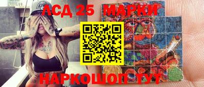 спиды Донской