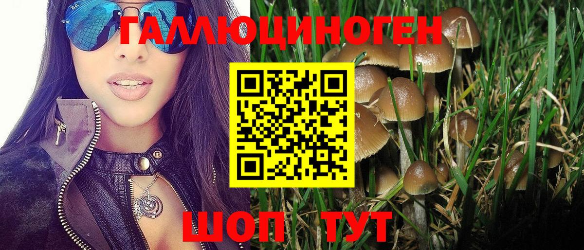 Псилоцибиновые грибы мицелий Лысьва